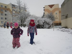 IMG_2480